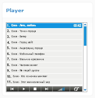Flash Player
