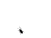 noviz000